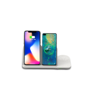 BIO FAMILY - <strong>wellness</strong>