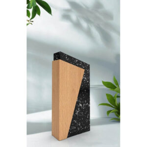 Recycled Award - <strong>trophy</strong>