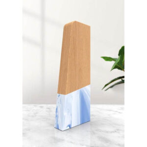 Recycled Award - <strong>trophy</strong>