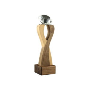 Wooden Crystal Trophy - <strong>award</strong>