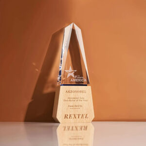 Wooden Trophy - <strong>award</strong>